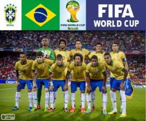 пазл Выбор Бразилии, Группа A, Бразилия 2014